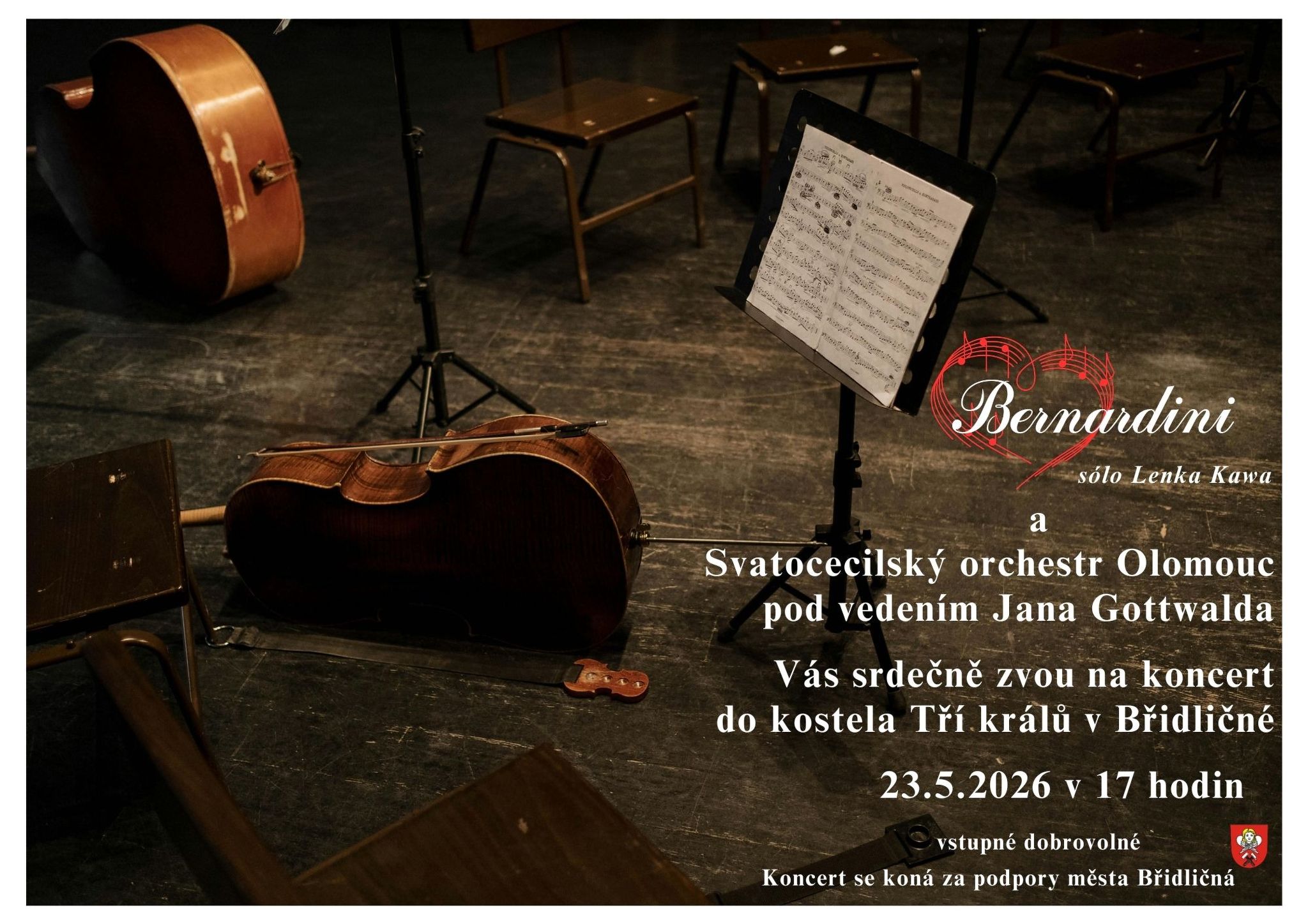 Bridlicna koncert